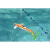 Bowfin PropDiver(R) (PD-Bowfin)
