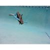 Lionfish PropDiver(R) (PD-Lionfish)