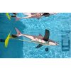 (6-PACK) Great White Shark (PD-Shark-6)