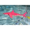 (6-PACK) Great White Shark (PD-Shark-6)
