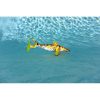 (6-PACK) Great White Shark (PD-Shark-6)