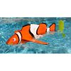 (6-PACK) Clownfish (PD-Clownfish-6)