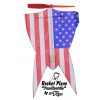 Stars&Stripes Rocket Plane