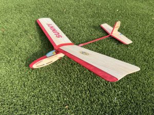 SUNNY (4F Sailplane)