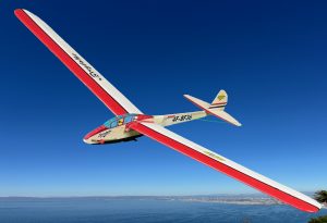 Bergfalke (4F Sailplane)