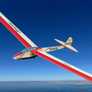 Bergfalke (4F Sailplane)